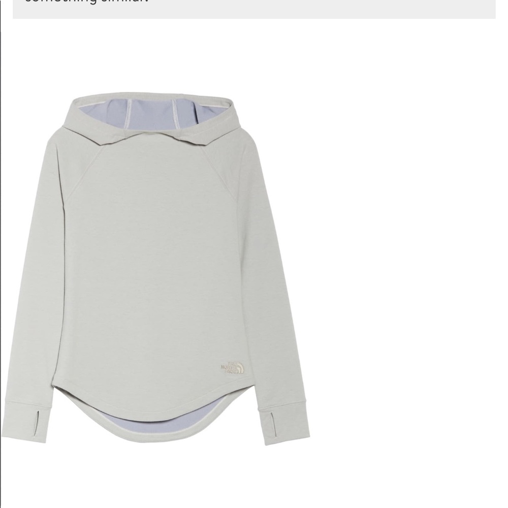 The north face hoodster hoodie size Medium
